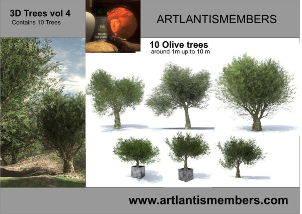 plant collection 3d models2