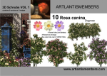 plant collection 3d models2