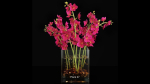 Plant collection 4 flowers in glass vase