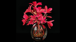 Plant collection 4 flowers in glass vase