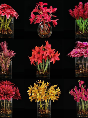 Plant collection 4 flowers in glass vase