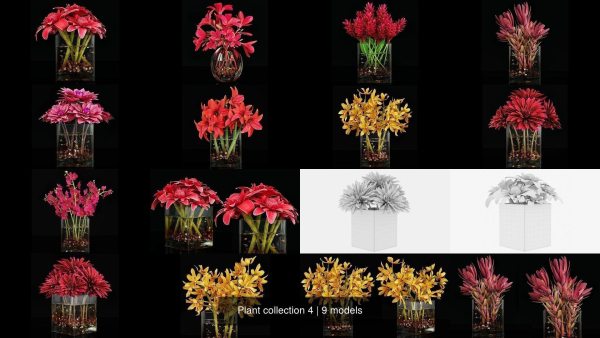 Plant collection 4 flowers in glass vase
