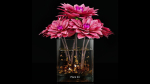 Plant collection 4 flowers in glass vase