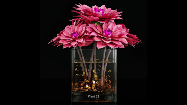 Plant collection 4 flowers in glass vase