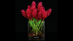 Plant collection 4 flowers in glass vase