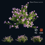 Plant Flower set 01