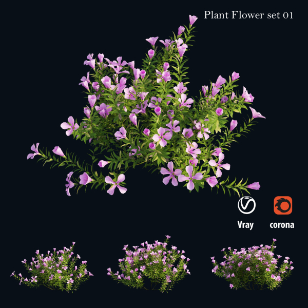 Plant Flower set 01