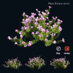 Plant Flower set 01