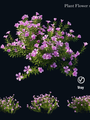 Plant Flower set 01