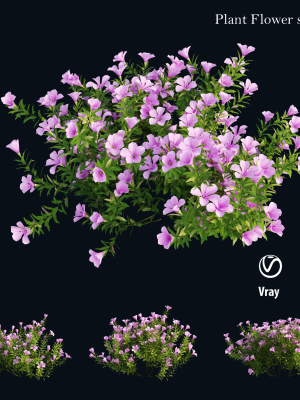 plant-flower-set-01-3d-model-c4501e2dde