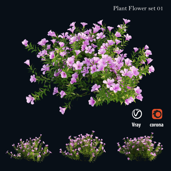 Plant Flower set 01