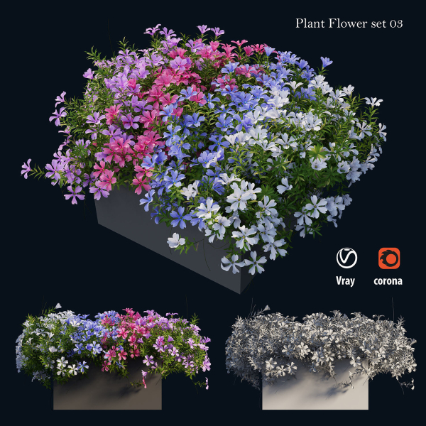 Plant Flower set 03