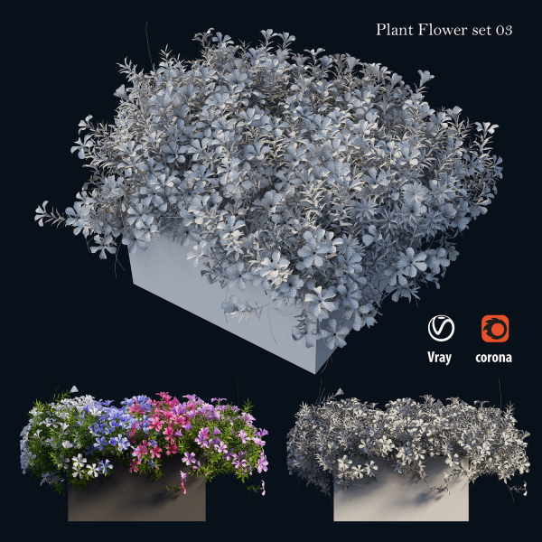 Plant Flower set 03