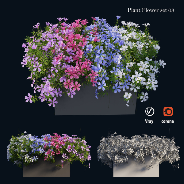 Plant Flower set 03