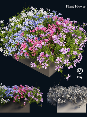 plant-flower-set-03-3d-model-d65f80812e