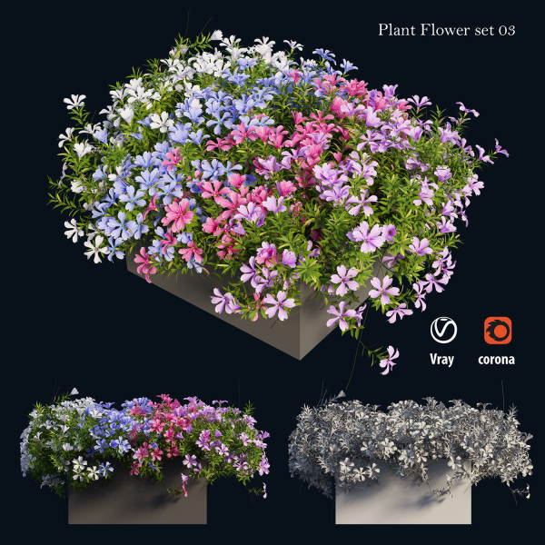 Plant Flower set 03