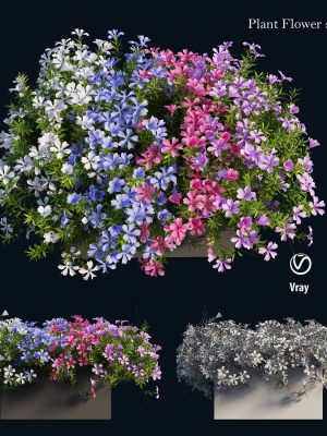 Plant Flower set 03