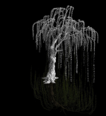 Plant-Forest-Weeping Willow 07
