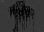 Plant-Forest-Weeping Willow 07