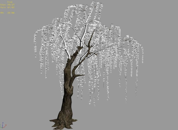 Plant-Forest-Weeping Willow 07