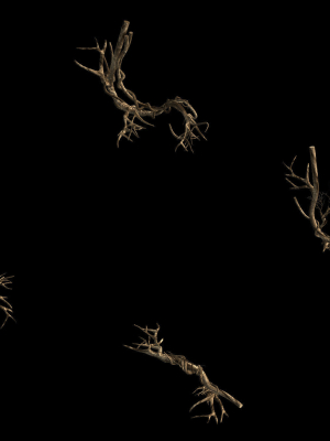 plant-green-climbing-vine-05-3d-model-max