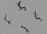 Plant-green-climbing-vine 05
