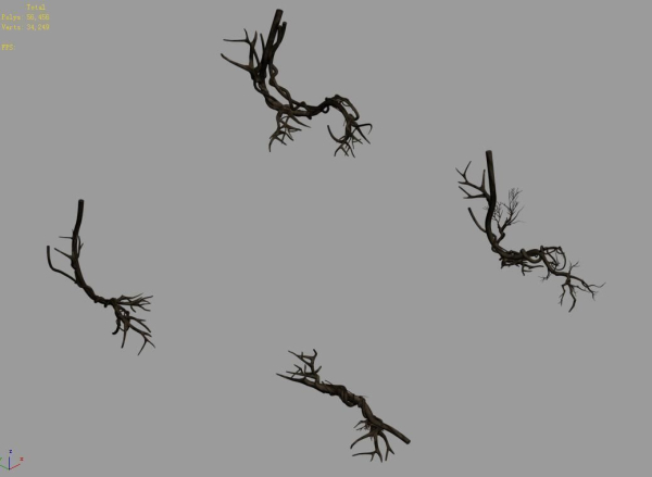 Plant-green-climbing-vine 05