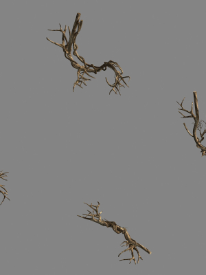 Plant-green-climbing-vine 05