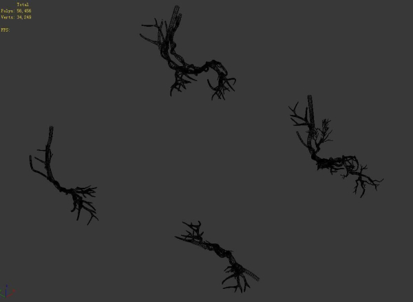 Plant-green-climbing-vine 05