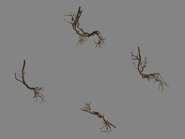 Plant-green-climbing-vine 05