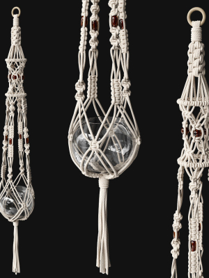 Plant hanger