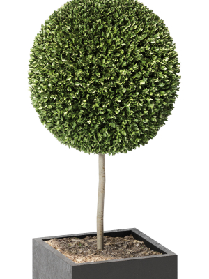 plant-in-pots-13-3d-model-f6527b383d