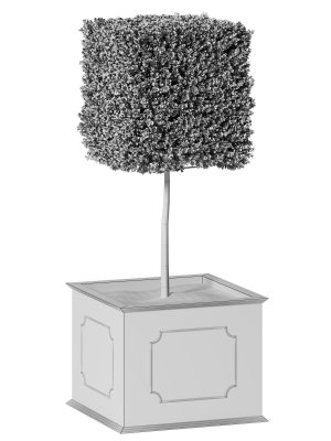 plant-in-pots-17-3d-model-fe50326ae1