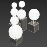 plant in pots   set 14