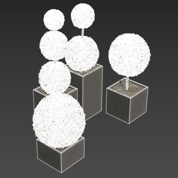 plant in pots   set 14