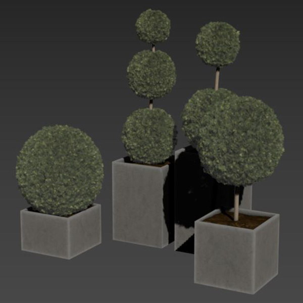 plant in pots   set 14