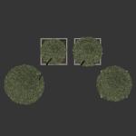 plant in pots   set 14