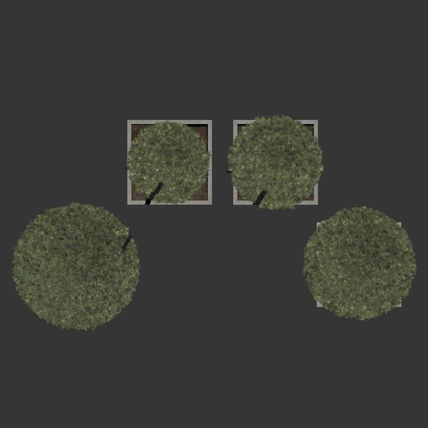 plant in pots   set 14