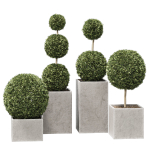 plant in pots   set 14