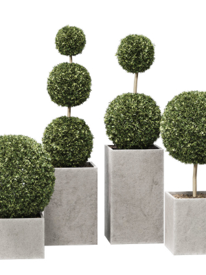 plant in pots   set 14