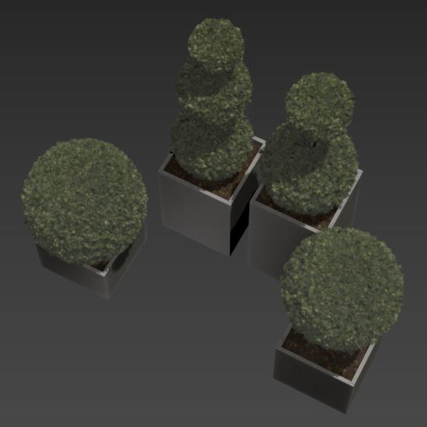 plant in pots   set 14