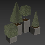 plant in pots  set 15