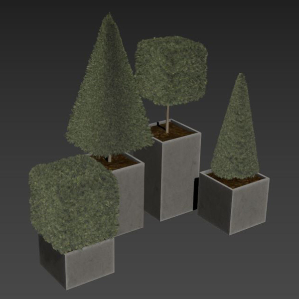 plant in pots  set 15