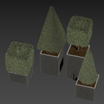 plant in pots  set 15
