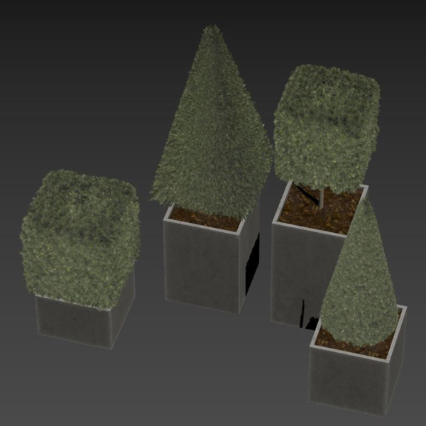plant in pots  set 15