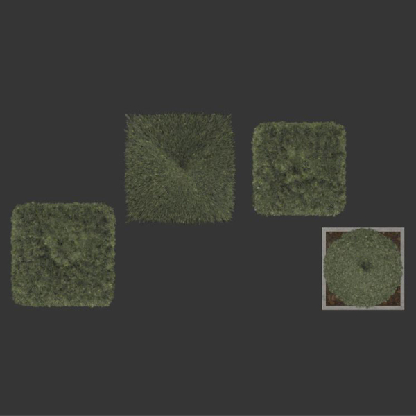 plant in pots  set 15