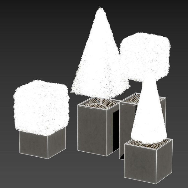 plant in pots  set 15