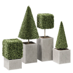 plant in pots  set 15