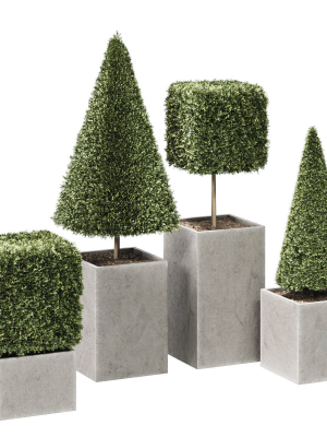 plant in pots  set 15