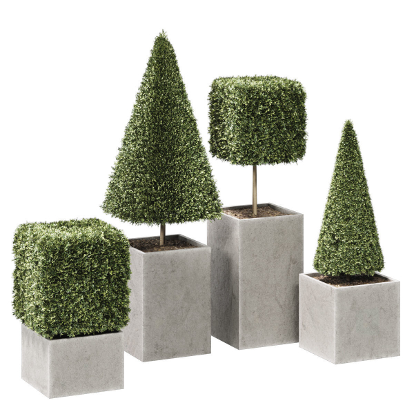 plant in pots  set 15
